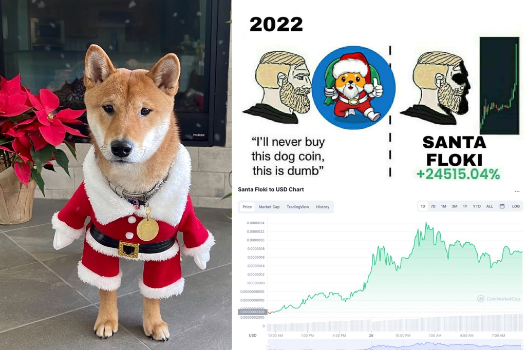 Dog-themed cryptocurrency surges 3,500% after Elon Musk Christmas tweet trib.al/hlihlH4
