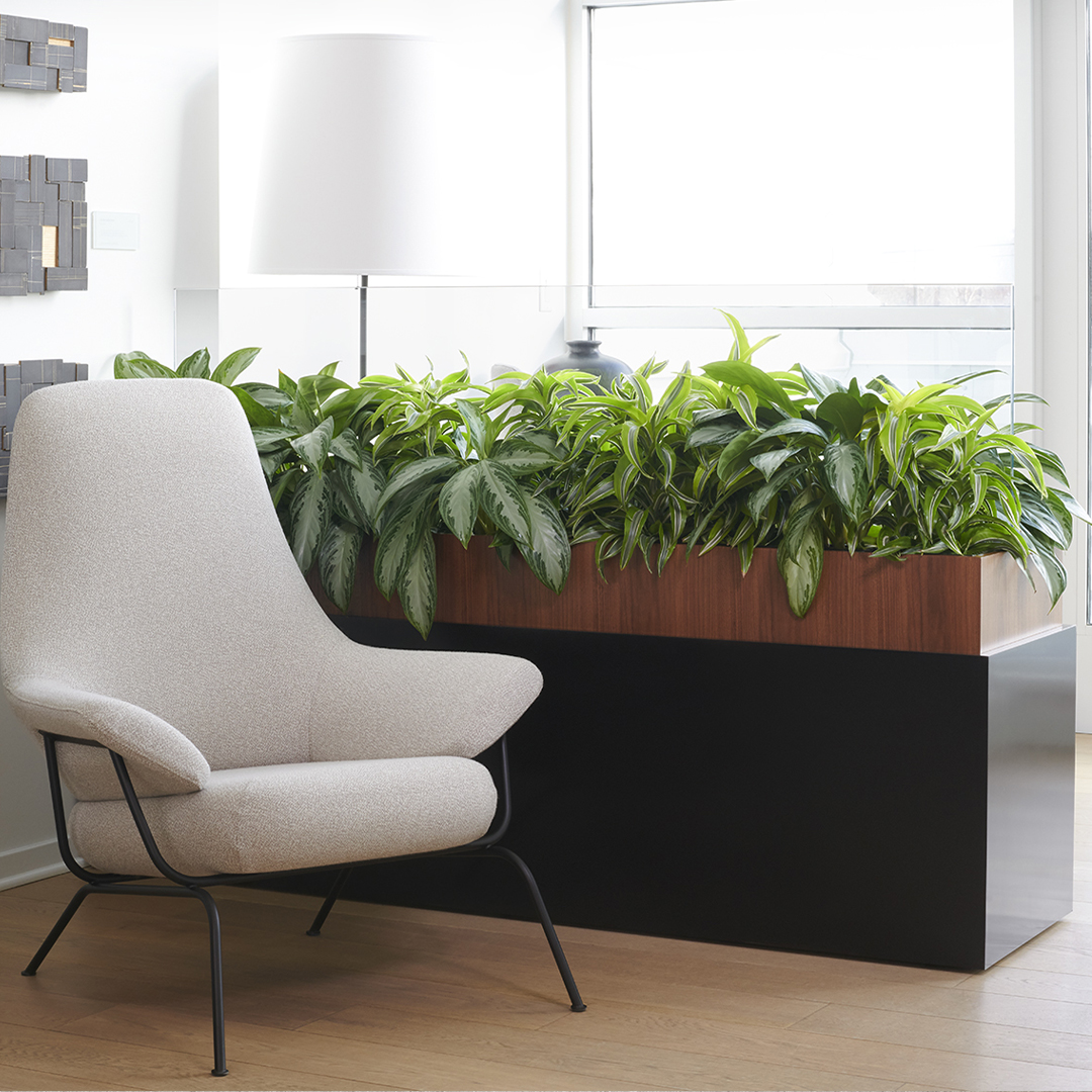 _nucraft's tweet photo. We ♥️ custom projects! Contact your Nucraft rep to learn more about this custom mobile planter / space divider and to bring your custom ideas to life. https://t.co/yY2jgNQXFS https://t.co/36B0w6xF6G