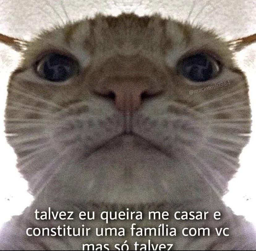 animaisfrases_'s tweet photo. https://t.co/A0kiItnLAY