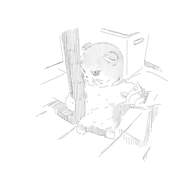 一昨日TLで見かけたぬこのrkgk 
