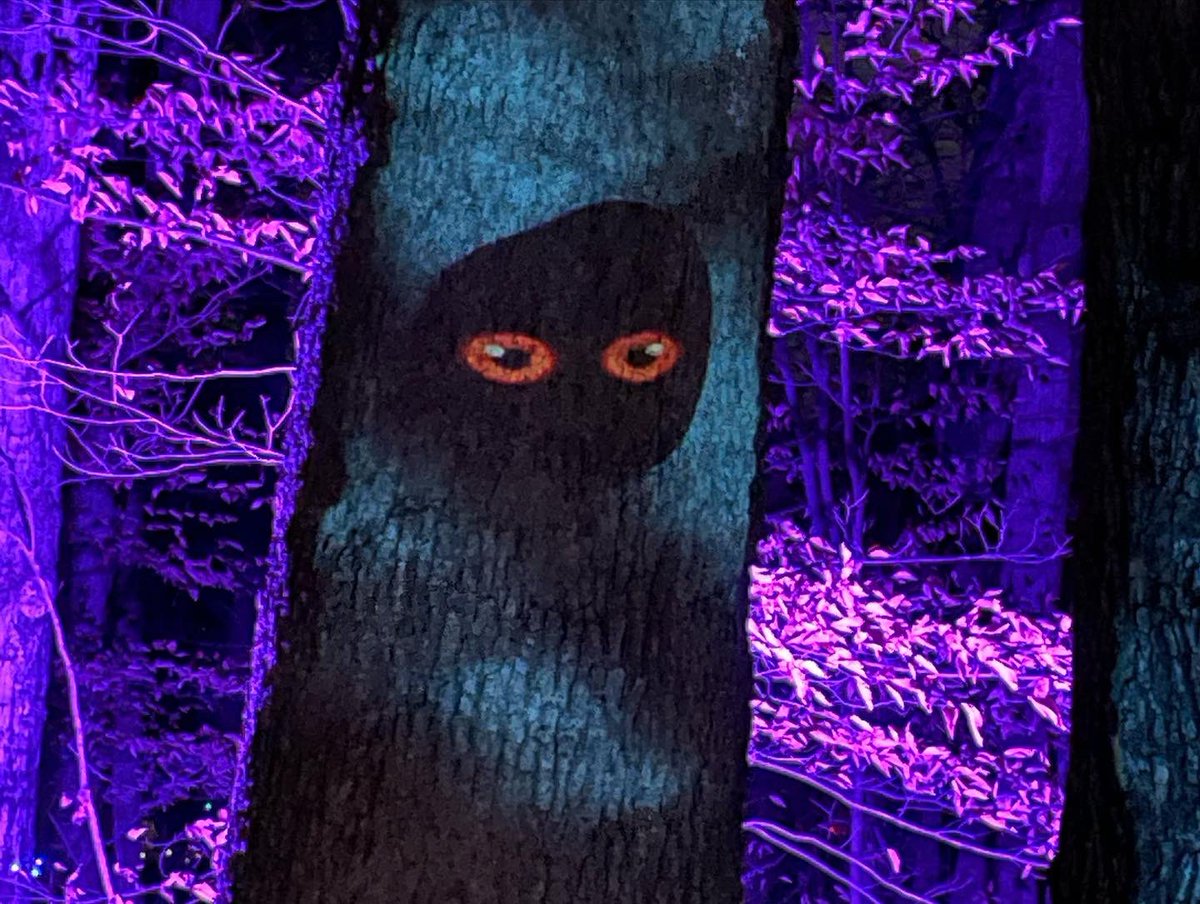 msrm's tweet photo. @cincynature great display and lovely way to spend the evening! https://t.co/gWdjXtmgY0