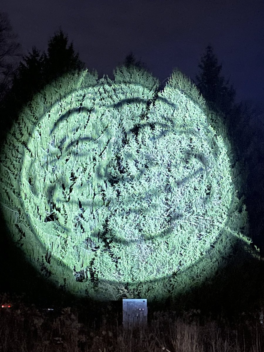 msrm's tweet photo. @cincynature great display and lovely way to spend the evening! https://t.co/gWdjXtmgY0