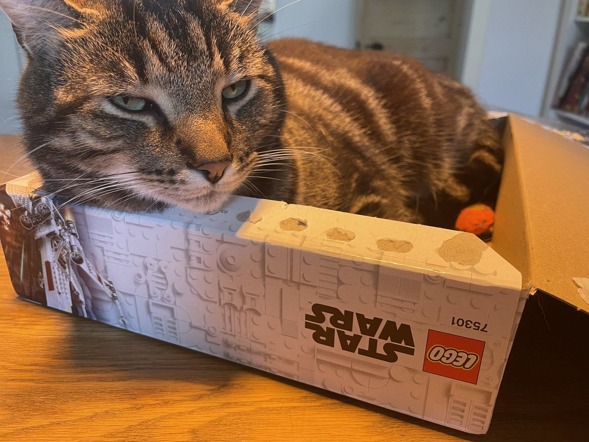 Happy #LEGOBuildDay everyone’s a winner here 🥳