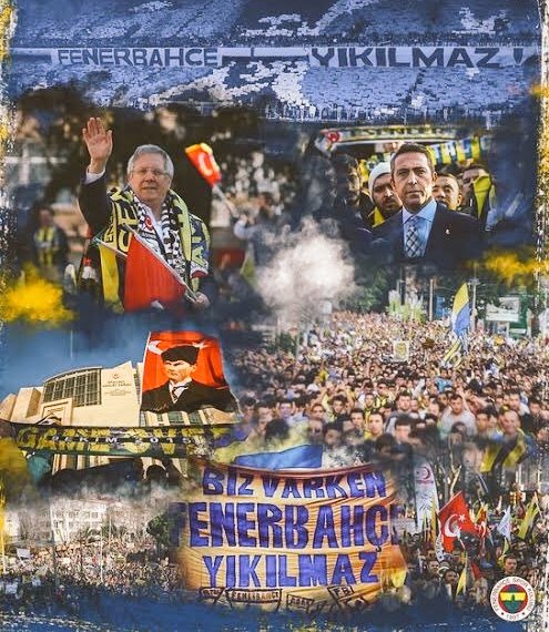 Di〽️asTeixeira tweet media