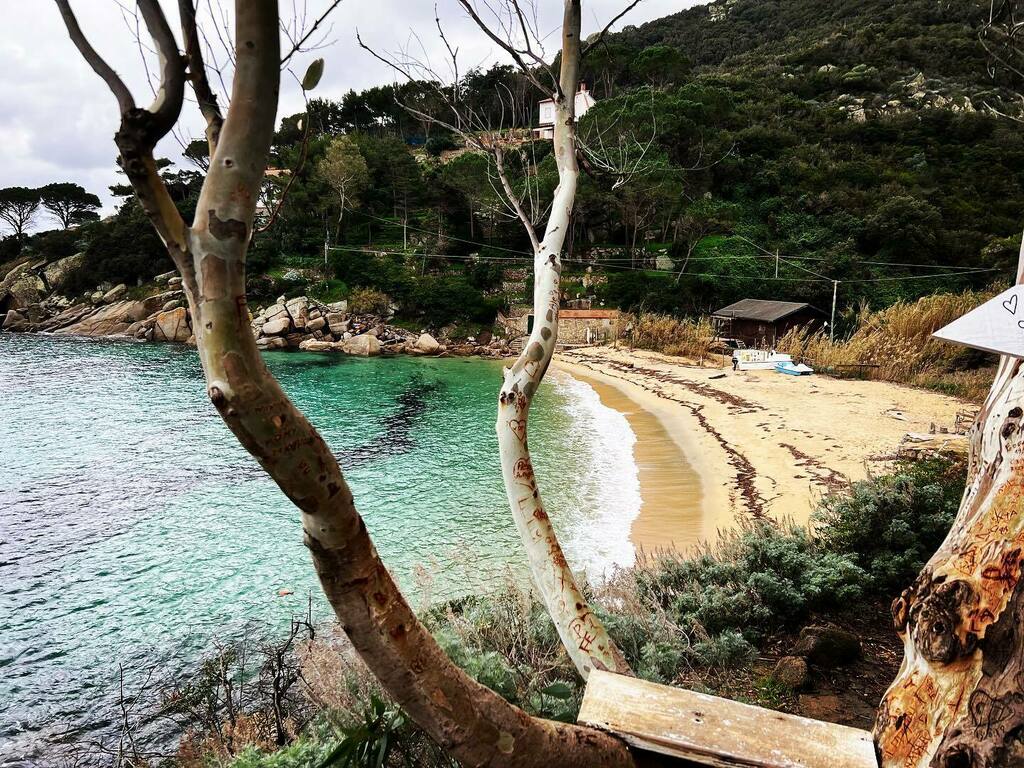 giglionews's tweet photo. Nonostante la giornata uggiosa e buia … LEI brilla di luce propria! #caldane #caldanebeach #spiaggiadellecaldane #spiaggia #beach #isoladelgiglio #giglioisland #tuscany https://t.co/88Z6JtTZFg https://t.co/SyYHrnR8fm