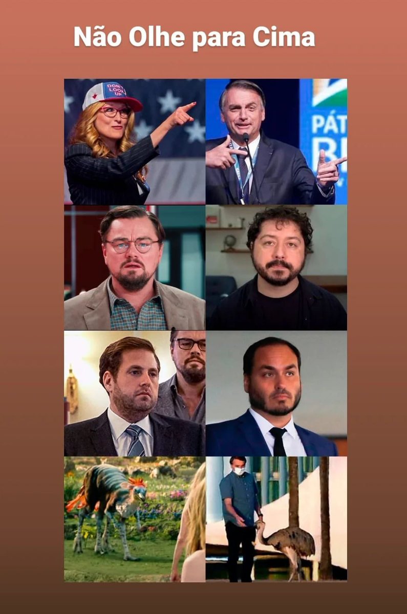 Colnaghi Paulo 🇧🇷🌪️🐈🐕🌳🖖 on Twitter: Colnaghi Paulo 🇧🇷🌪️🐈🐕🌳🖖 on Twitter: