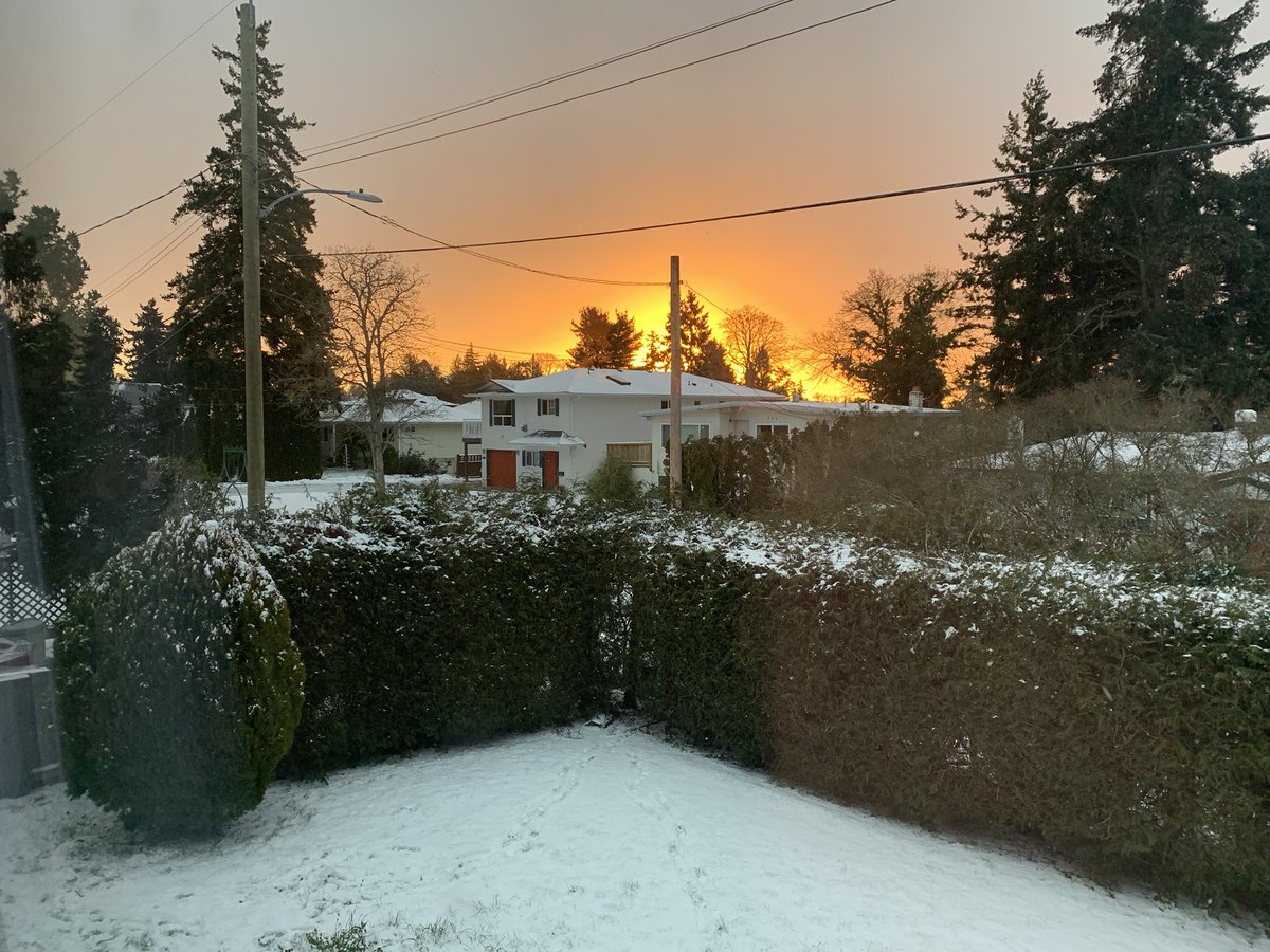 ericgallipo's tweet photo. Absolutely UNREAL sunrise this morning. High five to anyone strolling along the beach this morning! Amazing!! #yyi #sunrise #vancouverisland https://t.co/Oj0RnW3UZQ