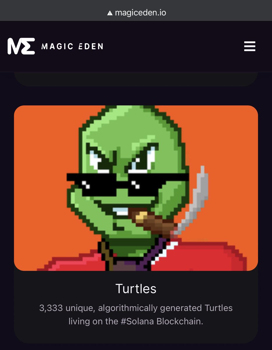 TurtlesNFT's tweet photo. We just became hottest collection on solana ecosystem right now, thanks to you ❤️ https://t.co/GEhWSxDimf
