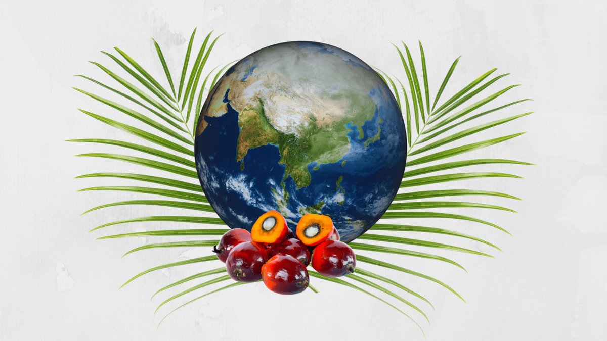 This Malaysian author believes food production is shifting away from large agri-food conglomerates. In Malaysia, nearly 40 percent of palm oil production comes from small farming families. bit.ly/3yb4RDk #palmoil#environment #MalaysianPalmOil #sustainable