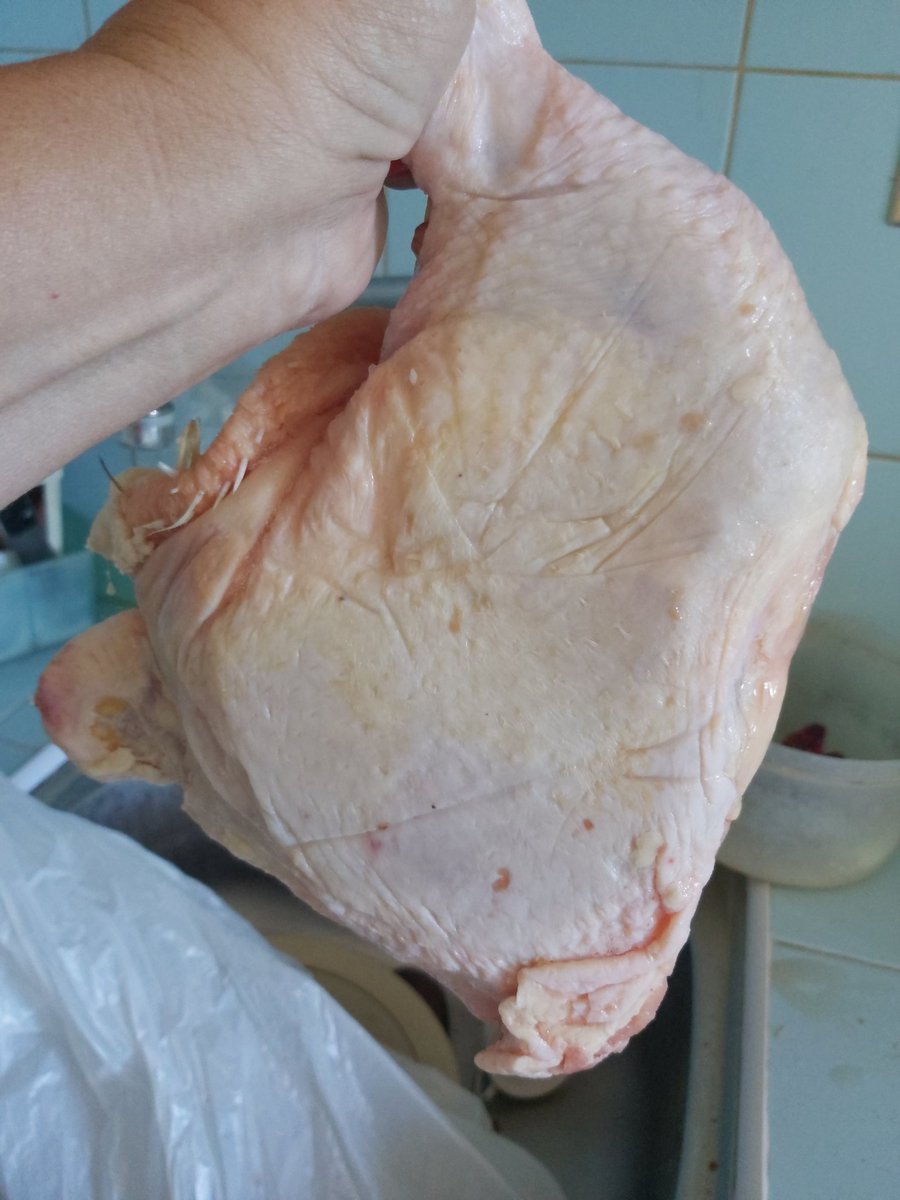 Clitenmestra60's tweet photo. Les presento el regalo de la Dictadura para una familia de 2 personas tras una cola de 4 horas. #CubaEsMiseria https://t.co/9znbakU28D