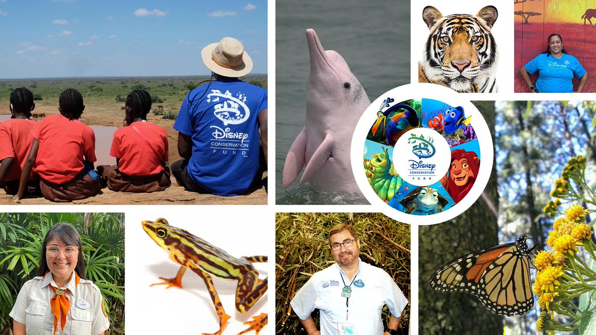 Our #TopMoments of 2021 also included working with nearly 100 Cast Members worldwide to select 60 nonprofit organizations as DCF grant recipients. As of this year, the DCF has awarded more than $120 million to protect more than 1,000 species in 120 countries around the world!⁣