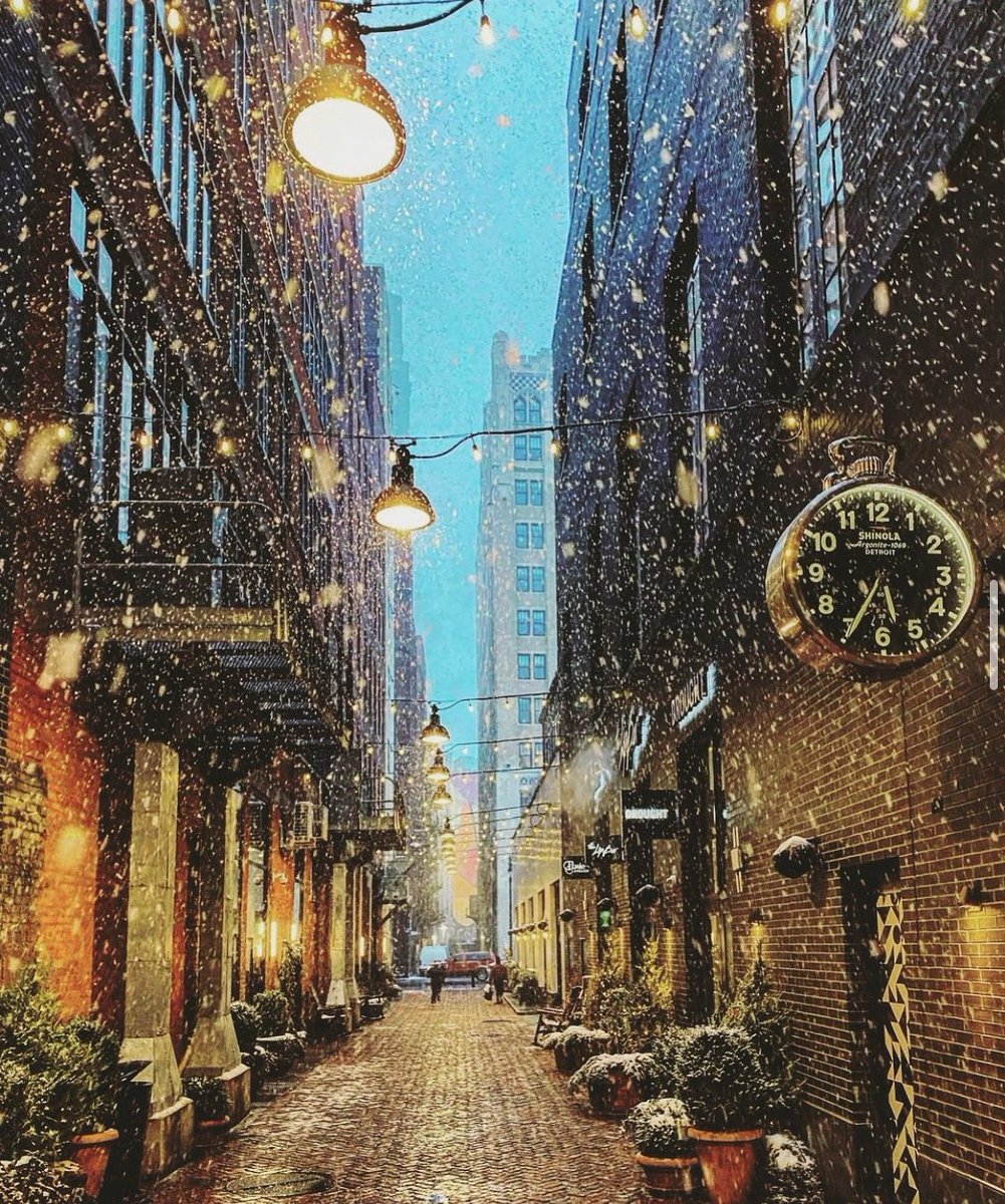 MadeInDetroit91's tweet photo. Winter in Detroit. ❄️

📸: metro.detroiter https://t.co/mWaOkj8iaU