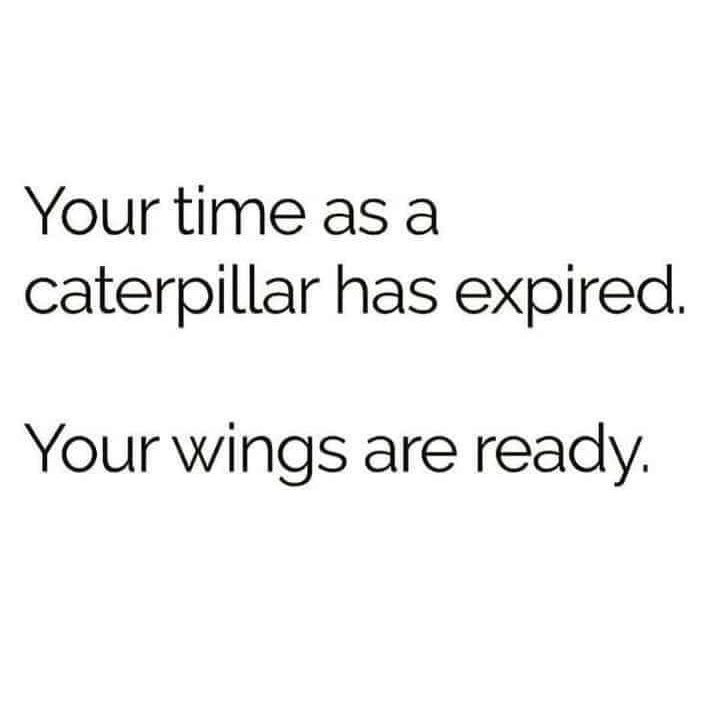 EVA_KBailey's tweet photo. 🦋 DUE SEASON https://t.co/uxEO3nSbU3