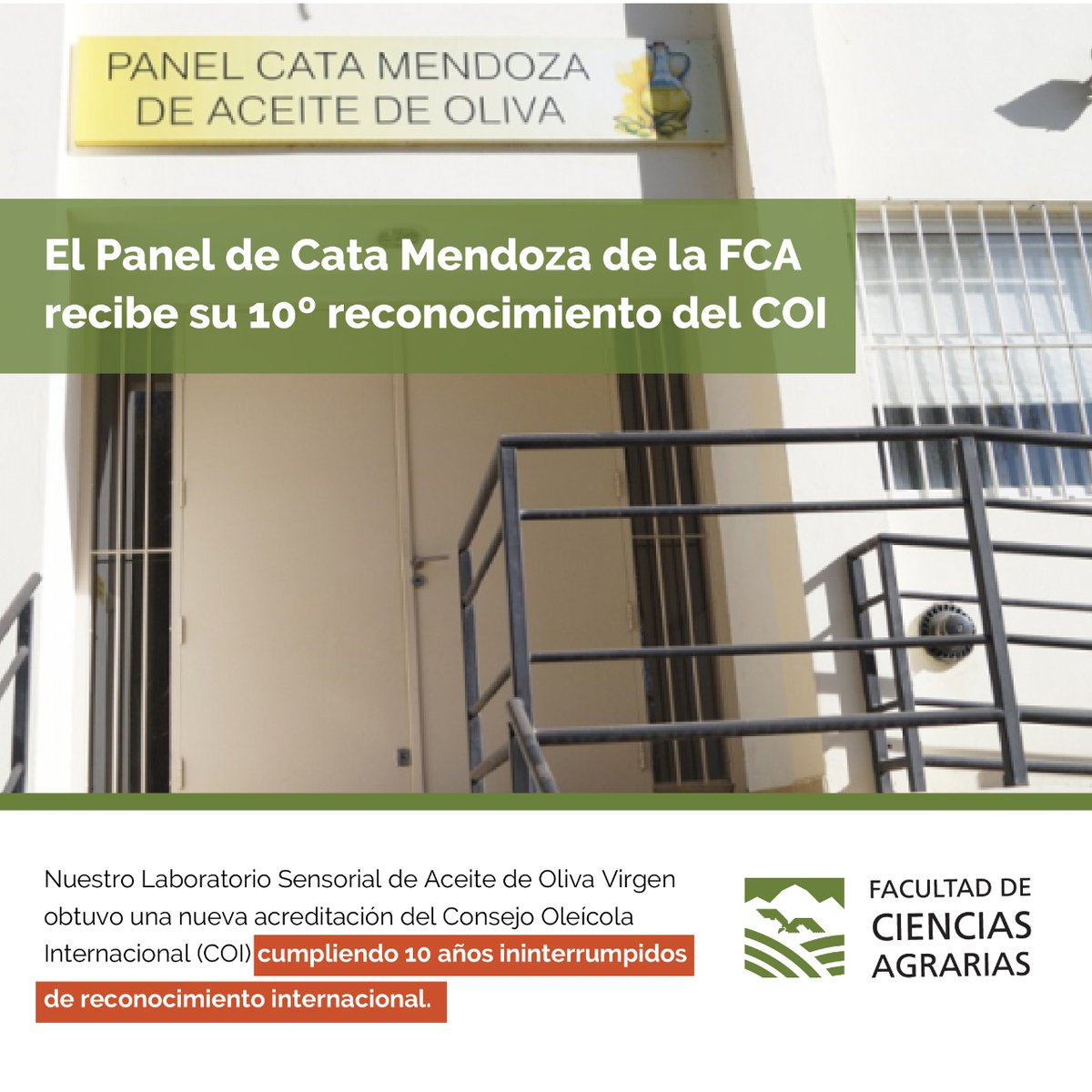 FCAUNCuyo's tweet photo. El Laboratorio Sensorial de Aceite de Oliva Virgen, 'Panel de Cata Mendoza', obtuvo una nueva acreditación del Consejo Oleícola Internacional (COI) para 2021-2022.
📲 Info: https://t.co/3TCkn3Vkcz
#FCA #facultaddecienciasagrarias #UNCUYO #paneldecata #mendoza #aceitedeoliva https://t.co/zS2nwsHwdc