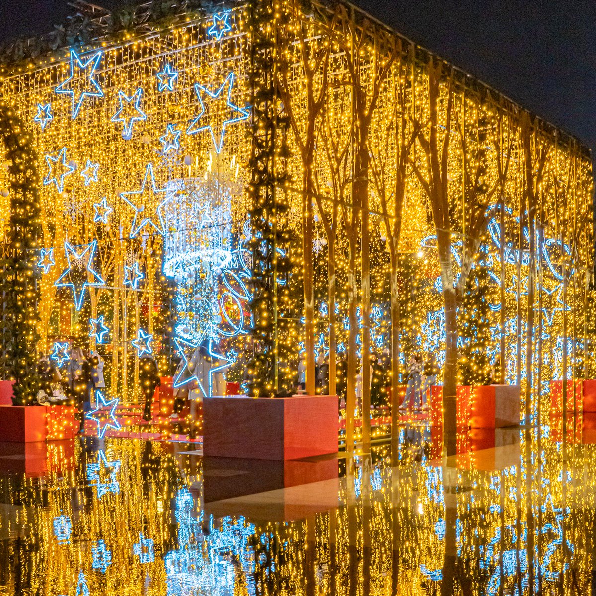 Wilson&Co tweet media