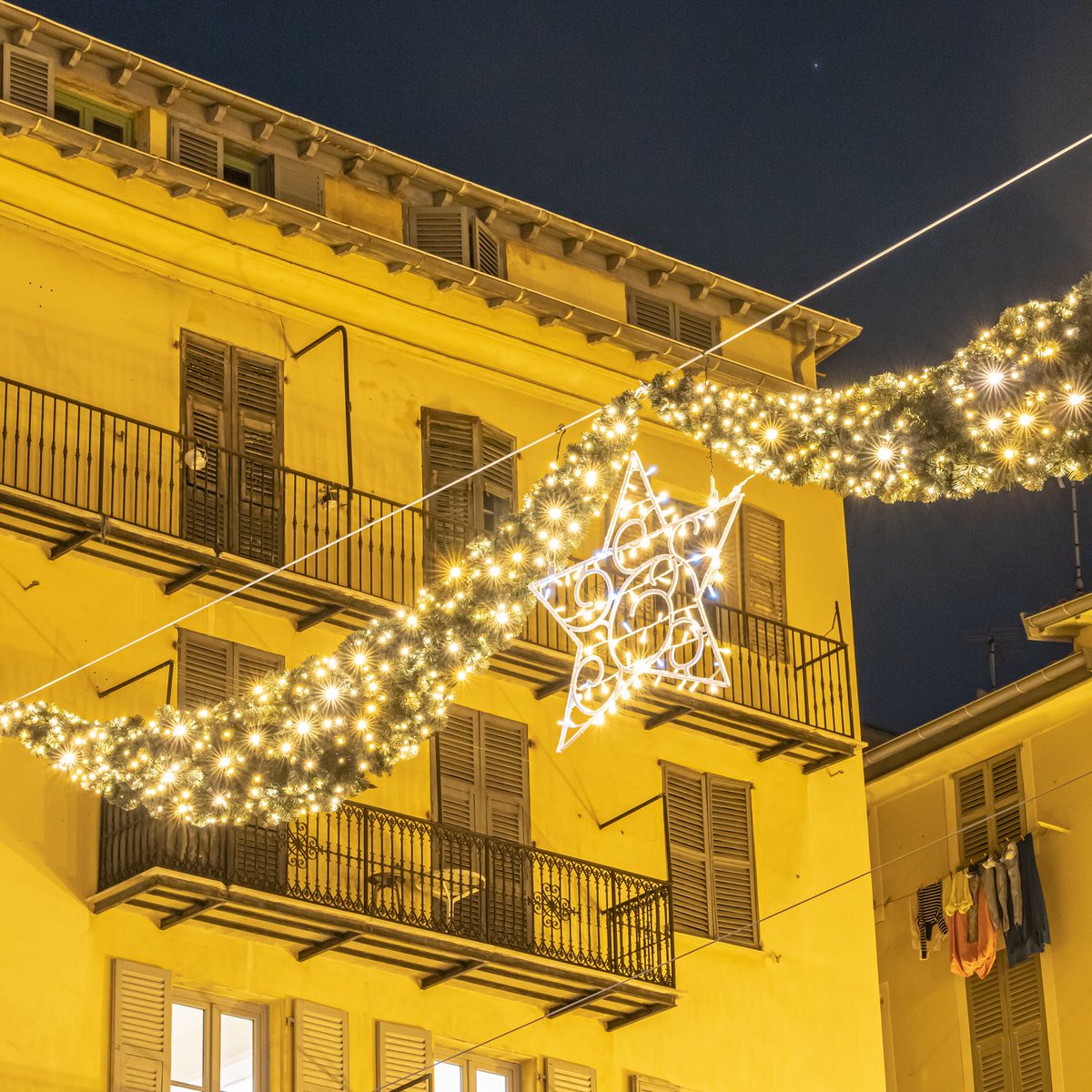 Wilson&Co tweet media