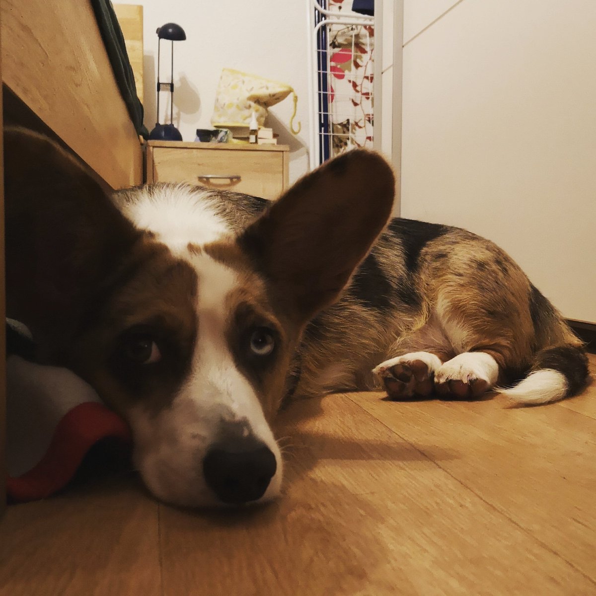 MallothRha's tweet photo. 18 Uhr geht es endlich weiter mit dem Demon's Souls Remake!

#livestream #mallothmonday #schnabeltierkollektiv #twitch #twitchtv #twitchDE #streamer #ps5 #DemonsSouls https://t.co/zG0OTKaryT