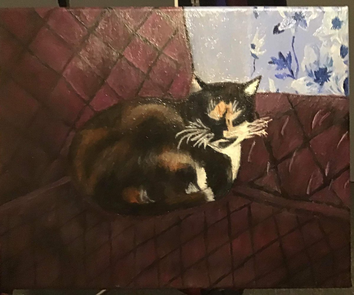 danielhulme18's tweet photo. Glad to share my second Oil Painting. This one of our family cat, Purdy. This was done as a Christmas present for my mum and so glad she loves it. Really pleased with how my painting is developing with each thing I paint. 😄🙌🏻 https://t.co/bSrZU7jaQA
