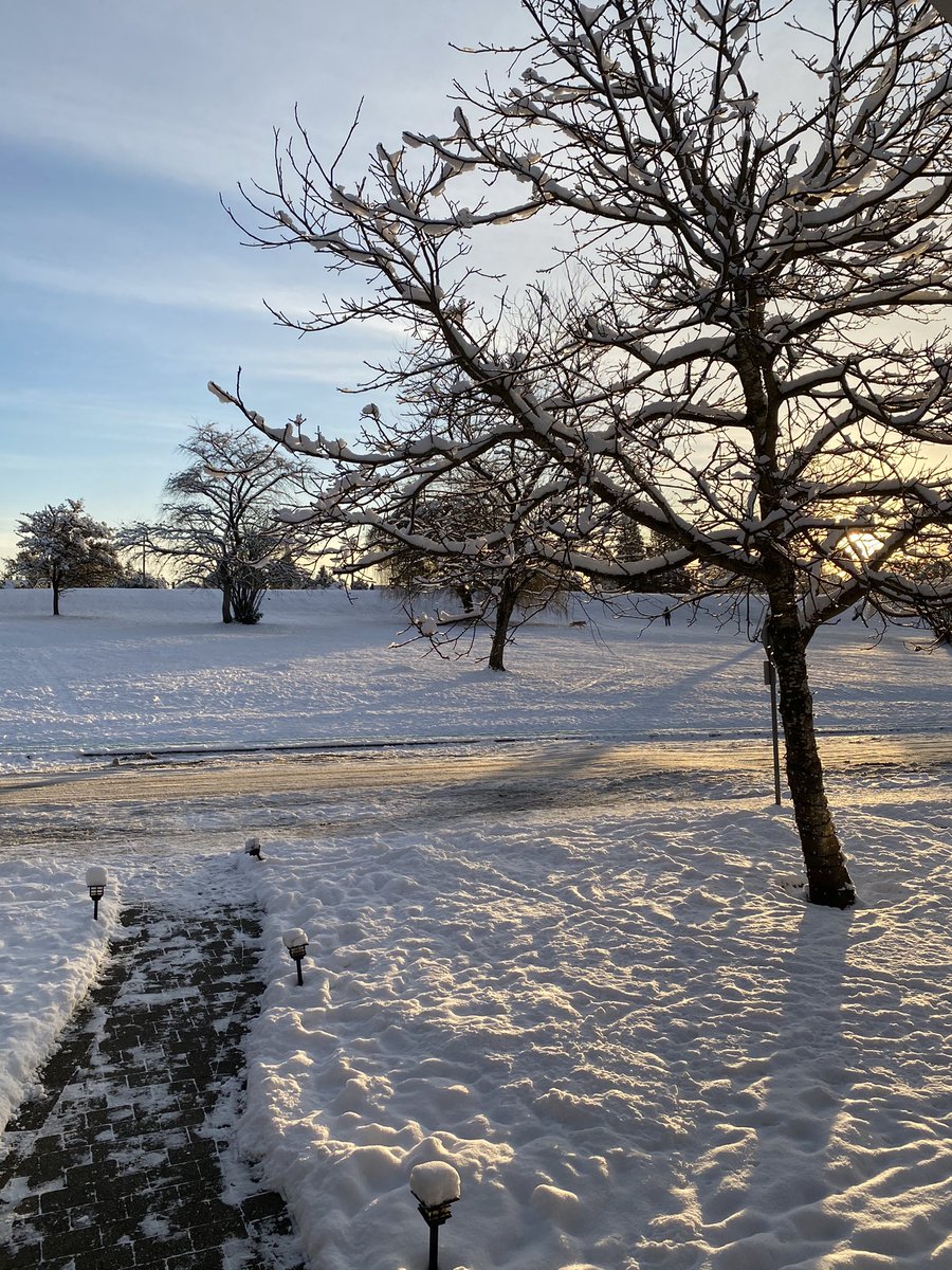 EdgemontMoving's tweet photo. A friendly reminder to please clear and salt all pathways, driveways, and stairs for your moving crew. Edgemont Moving, Red Carpet Service since 1961 #winter #professionalmovers #edgemontmoving #shovel #salt #yvr #northvancouver #westvancouver https://t.co/76AEKnJ08C