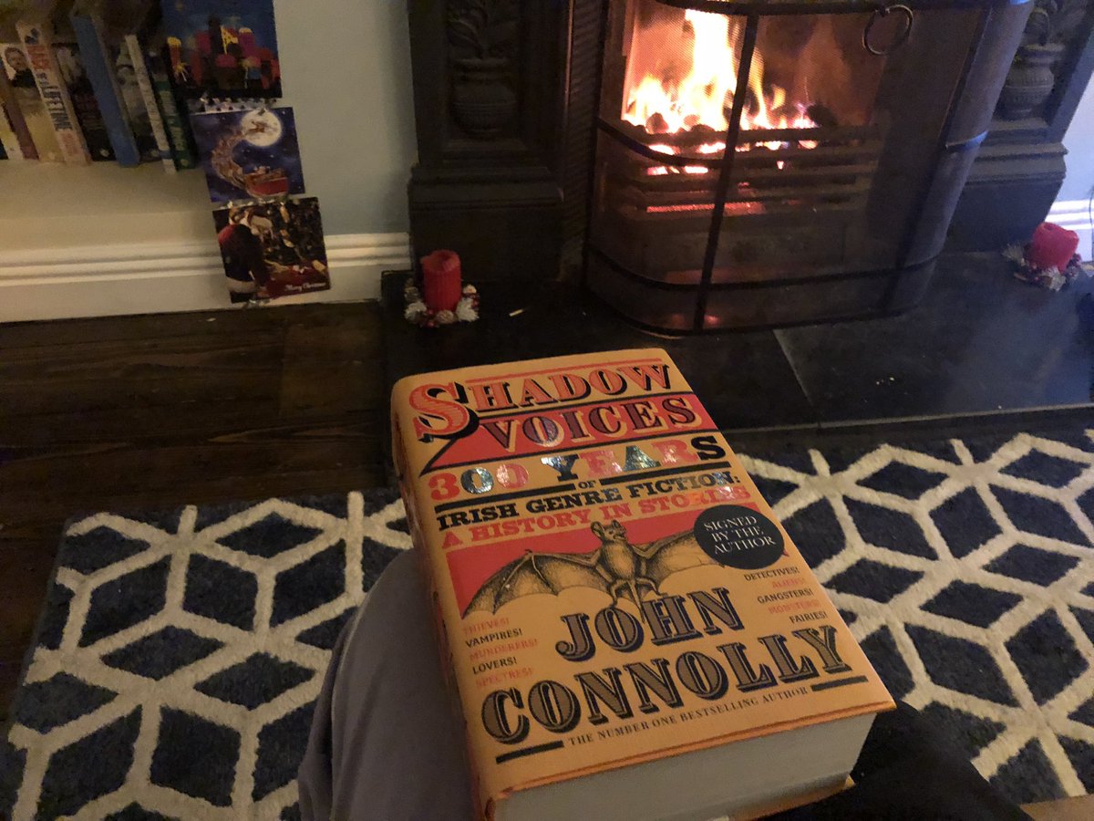 SCrowleyAuthor's tweet photo. Next up on #12booksofChristmas is #shadowvoices from @jconnollybooks - The Two Bottles of Relish sent me reeling https://t.co/T2yVCb7pPH