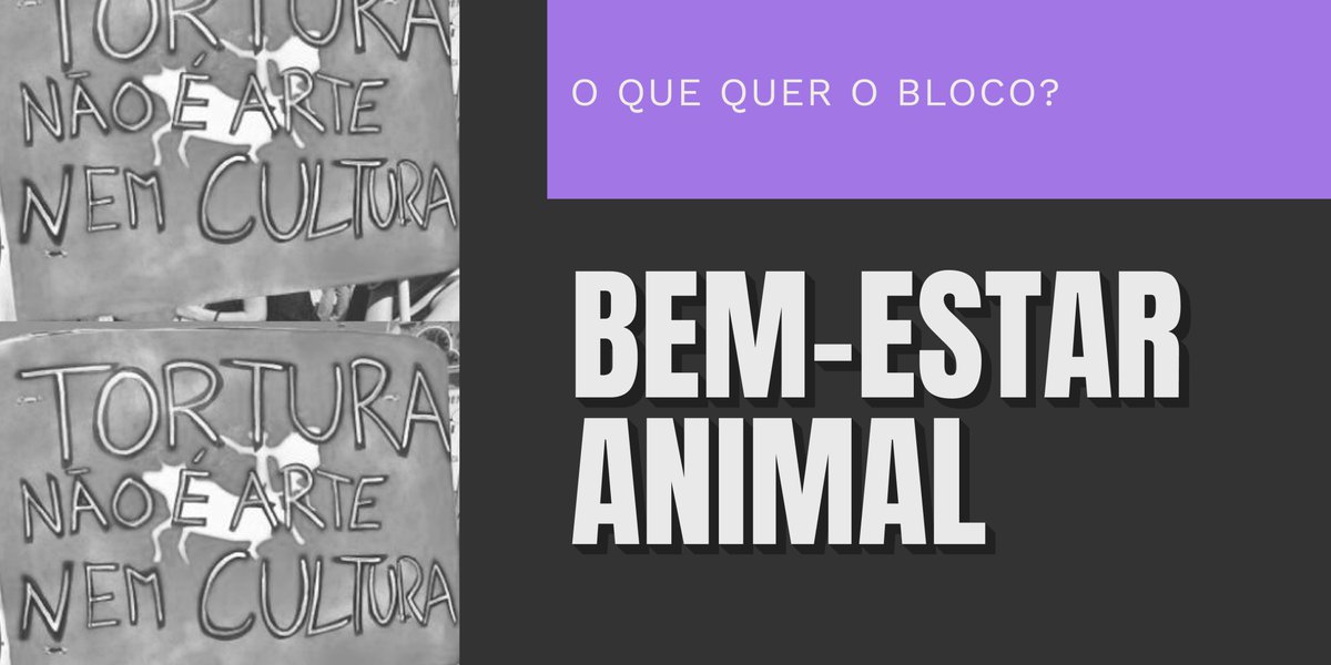 BlocoDeEsquerda's tweet photo. Propomos:
- Aprofundar as leis sobre maus tratos a animais;
- Fim do apoio público, direto ou indireto, às touradas;
- Criação de uma Rede de Centros de Recolha Oficial que responda às necessidades de esterilização animal. https://t.co/wBdzWb1eOh