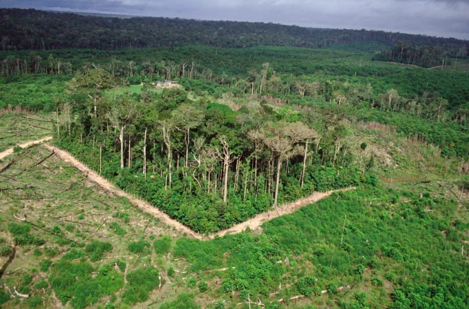 Something poetic about losing Wilson and Lovejoy at once, given their work's interplay. EOW basically invented island biogeography, then TL proved in the Amazon that fragmentation creates islands. Hard to imagine ConBio without those scientific underpinnings.

Photo: Mark Moffett