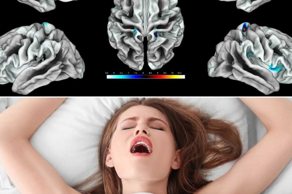 nypost's tweet photo. Women who have more sex have better developed brains: study says https://t.co/EjyGK1MOJX https://t.co/4mQ2ETXRs6