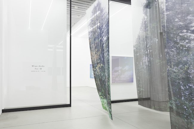 laletraB's tweet photo. Miya Ando - diversas instalaciones utilizando tela chifón.
#textileart #contemporaryart #visualcurator https://t.co/bOWrI70ELM