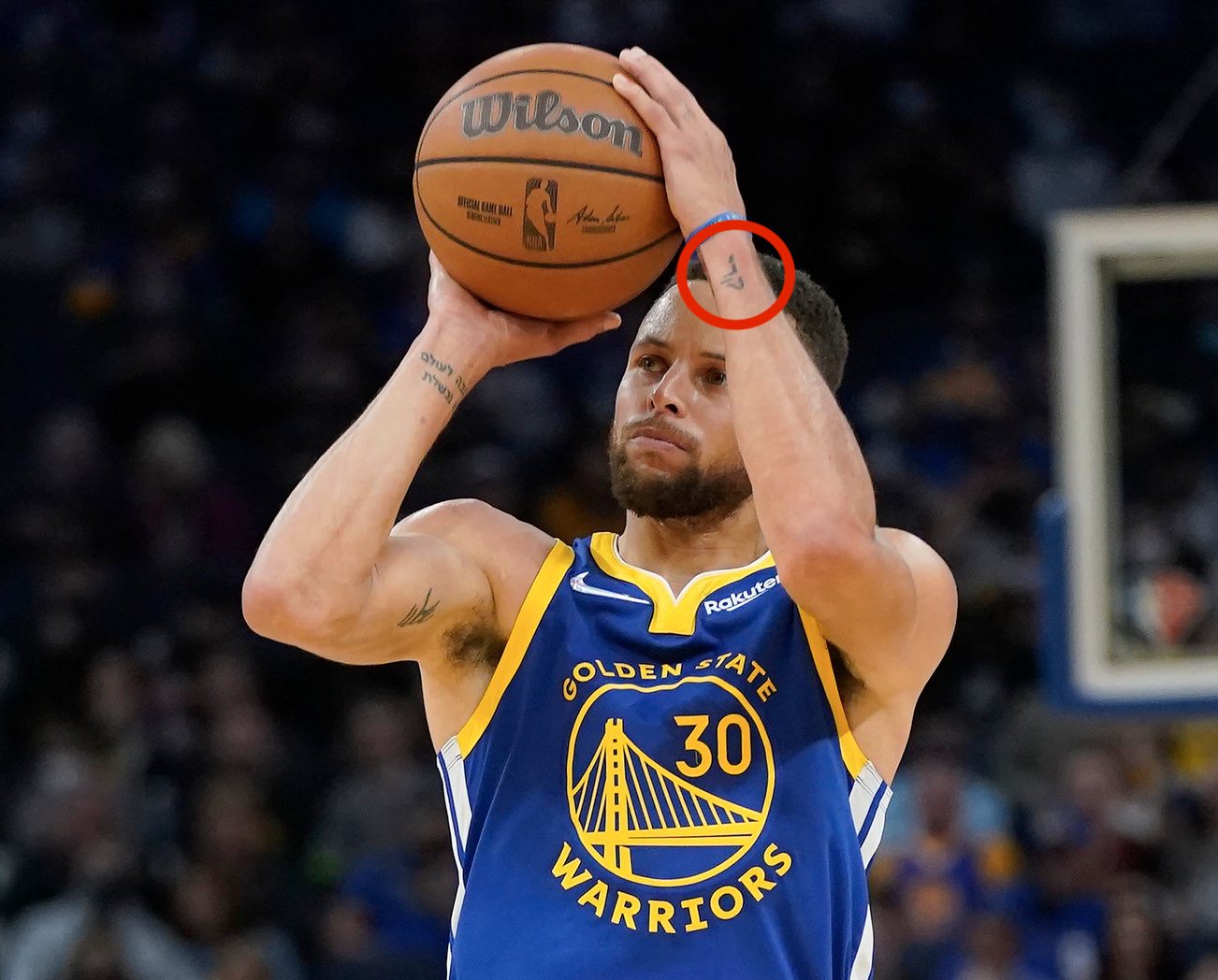 Sam Shonkoff on Twitter "fun fact about steph curry, the best shooter