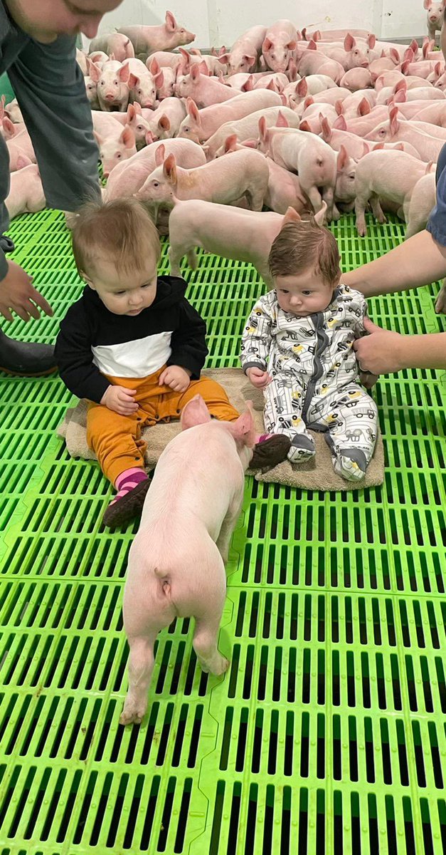 Phil Smith tweet media