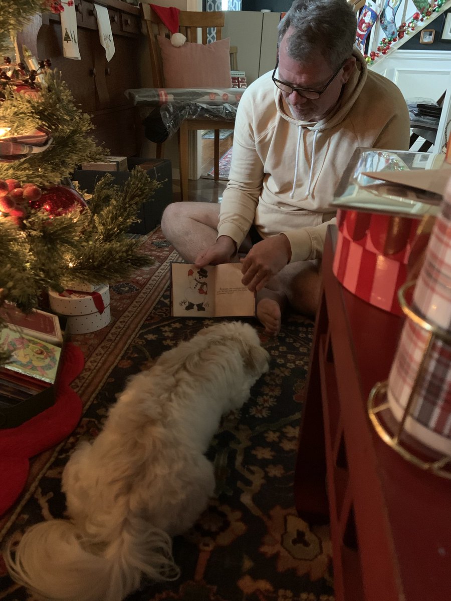 RodriguezSpeaks's tweet photo. Our Havanese has HAD IT with the visiting puppy. My husband was trying to get her to settle down and started reading her Frosty the Snowman and she was about it https://t.co/Oa4PC7zHUc