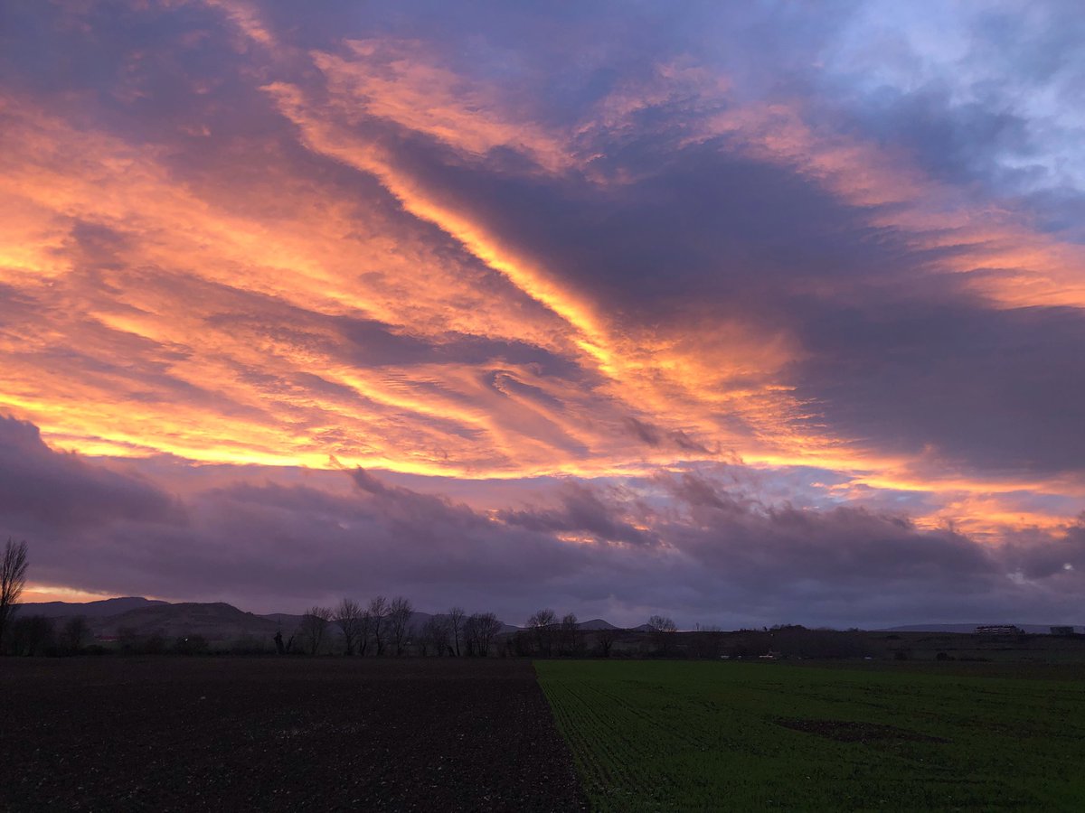 Ahora mismo desde Agroturismo #Arkaia #sinfiltros #todonatural #aunestasatiempo #turismorural en #vitoriagasteiz <a href="/nekatur/">Nekatur</a> <a href="/TurismoVitoria/">Turismo Vitoria</a>  <a href="/TurismoAlava/">Álava Turismo</a> <a href="/CeresEcotur/">Ceres Ecotur</a> <a href="/Basquetour_eus/">Basquetour</a>