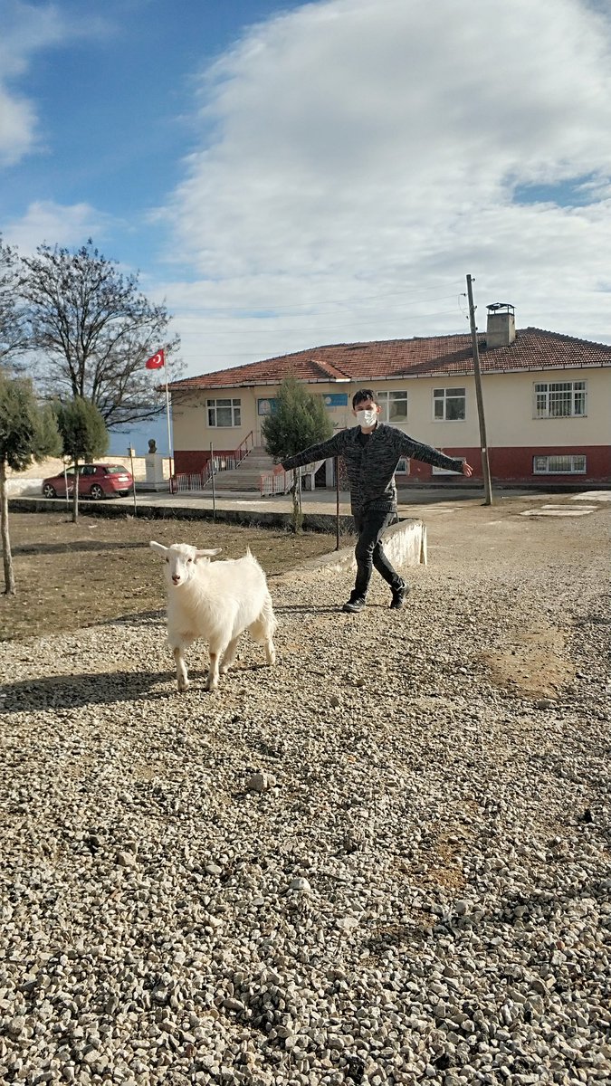Bugün inatçı ve meraklı bir misafirimiz vardı 😊