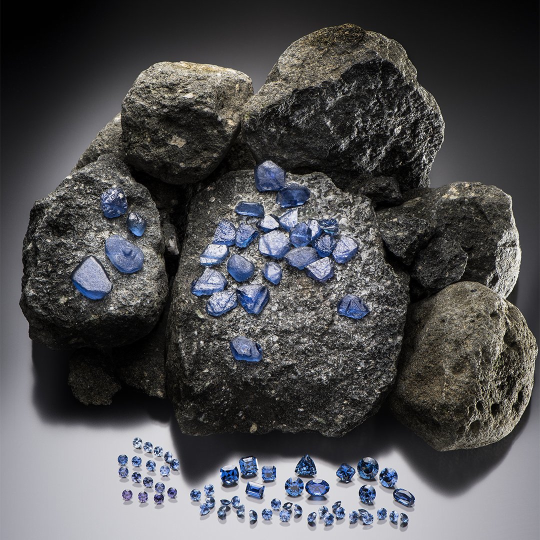 GIAnews's tweet photo. For more than 120 years, Yogo Gulch, Montana has been one of the world’s most illustrious sources of sapphire. Seen here are Yogo sapphires next to the host rock in which they are found. Learn more: https://t.co/IHThLfgzqe  Courtesy: Don Baide (The Gem Gallery, Bozeman, Montana). https://t.co/QSNf605X1C