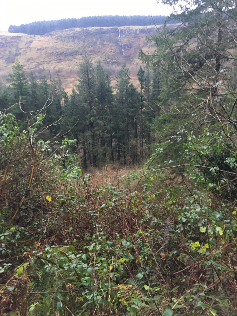 MaryAnneBMA tweet media