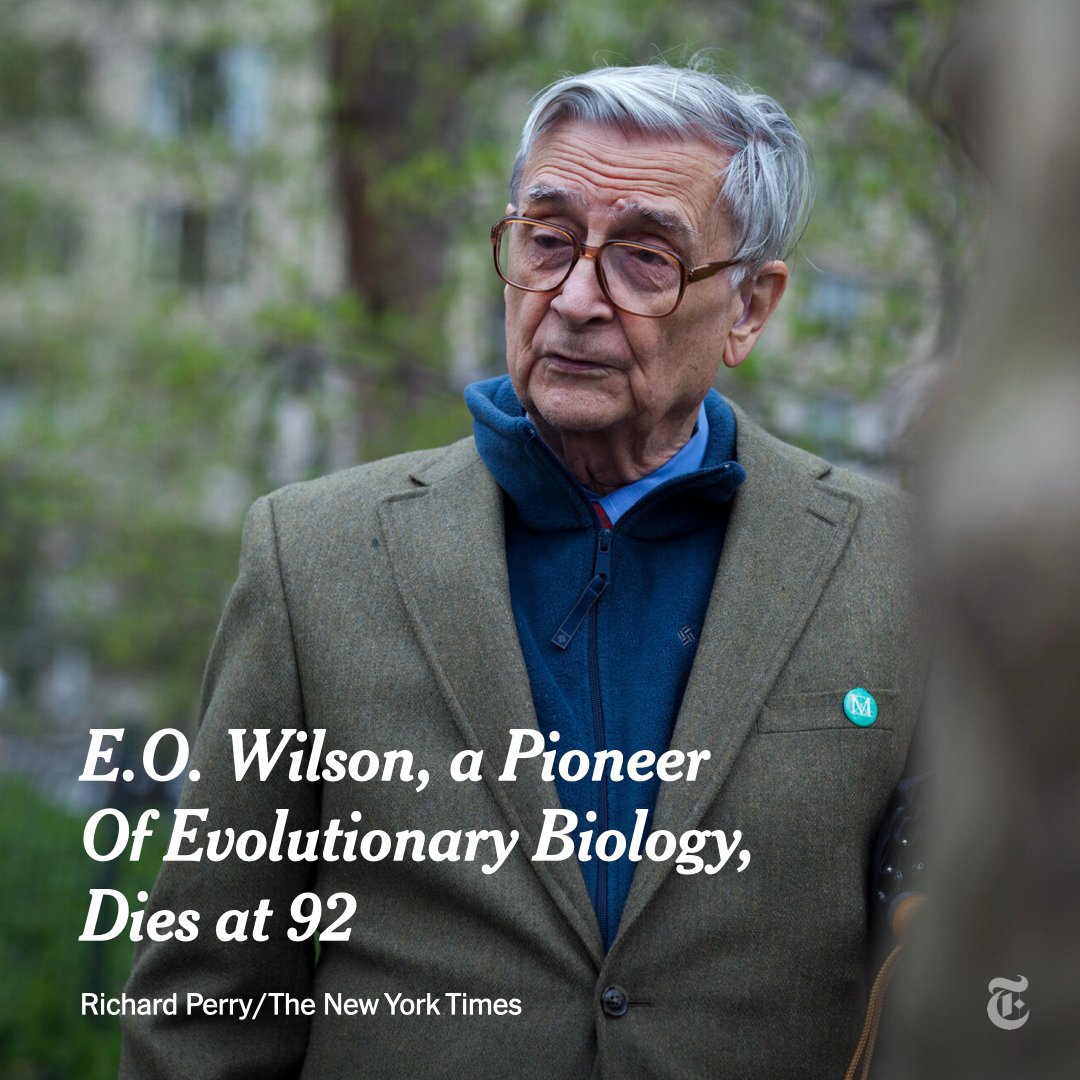 A Harvard professor for 46 years, Edward O. Wilson, was an expert on insects and explored how natural selection and other forces could influence animal behavior. He then applied his research to humans and pioneered new fields of research. nyti.ms/3z3JEfZ