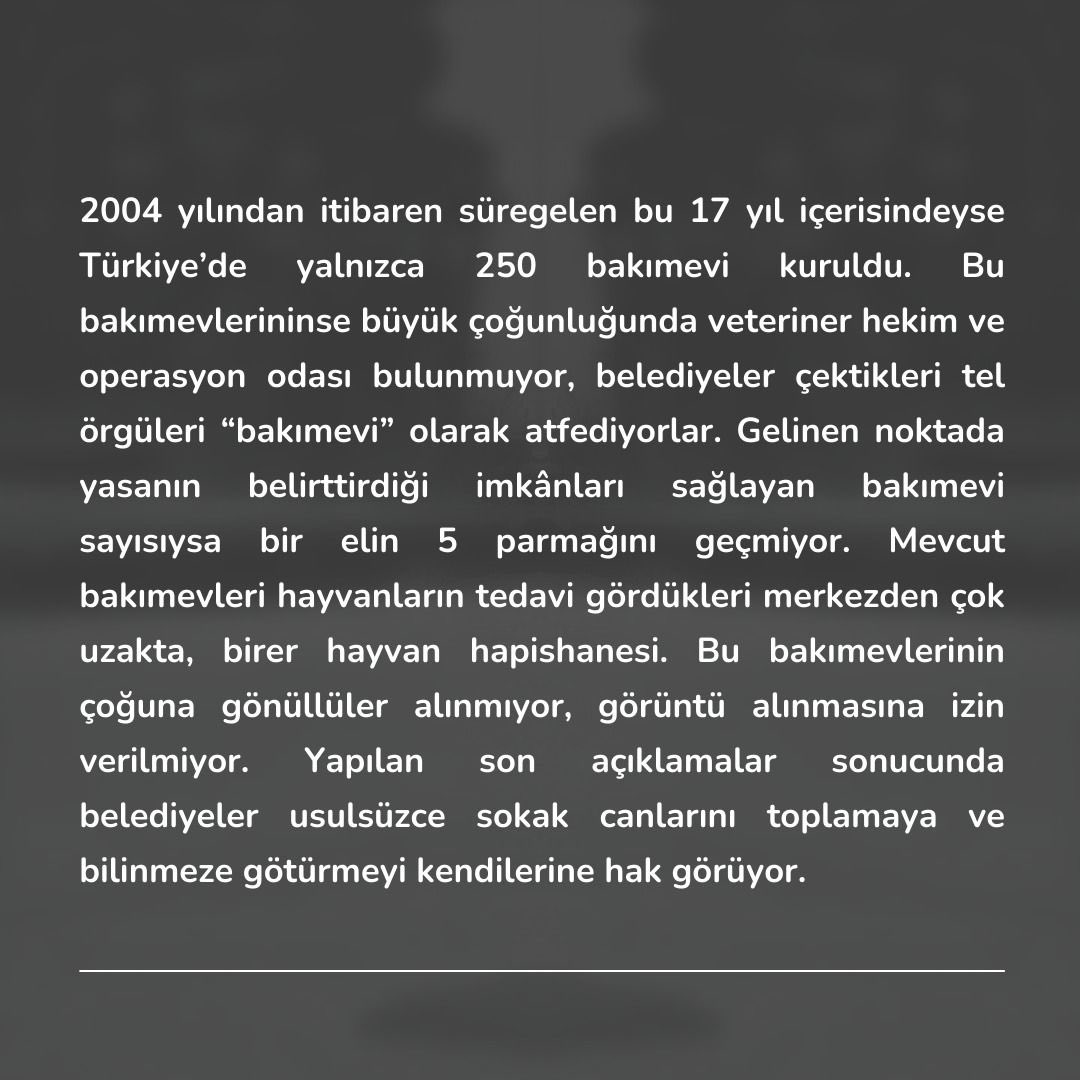 TEDÜ Hayvan Dostları tweet media
