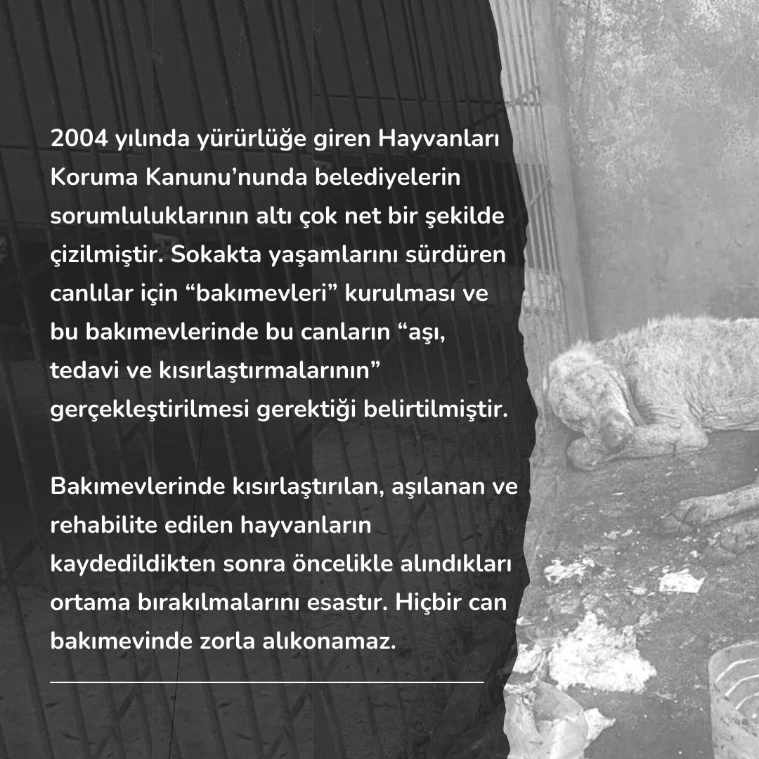 TEDÜ Hayvan Dostları tweet media