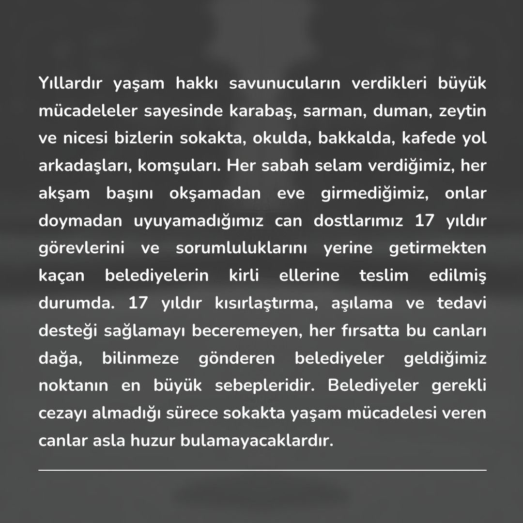 TEDÜ Hayvan Dostları tweet media