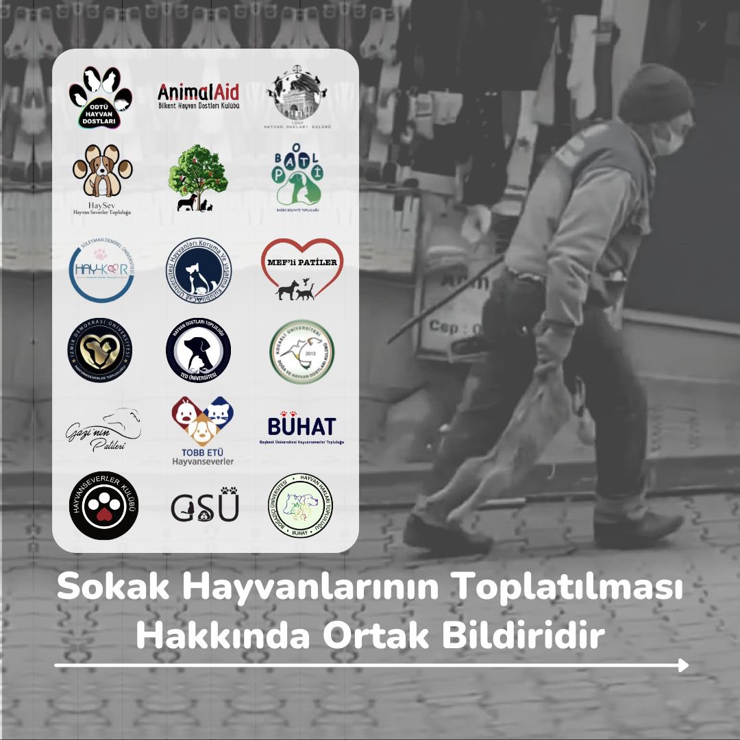 TEDÜ Hayvan Dostları tweet media