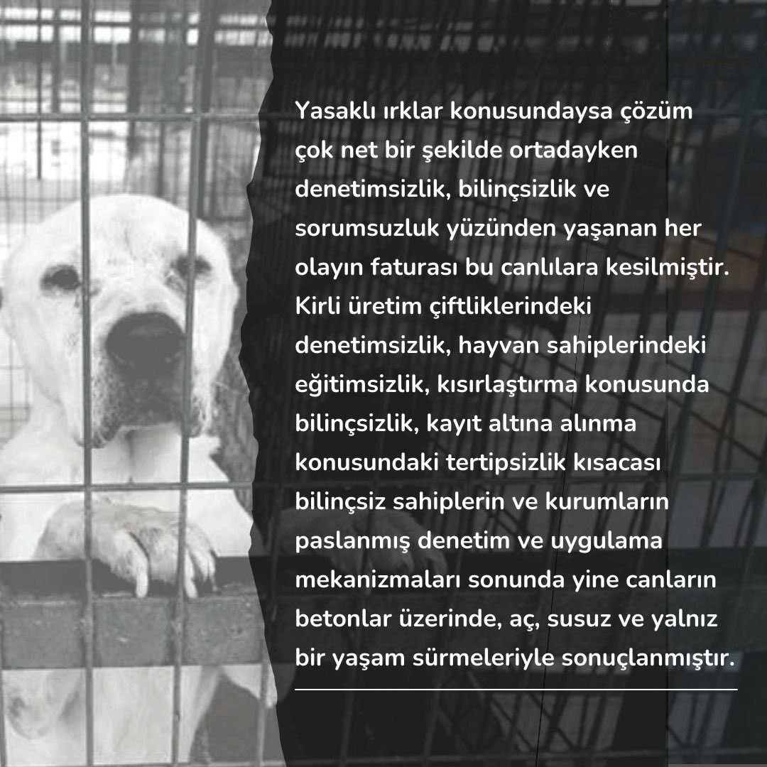 TEDÜ Hayvan Dostları tweet media