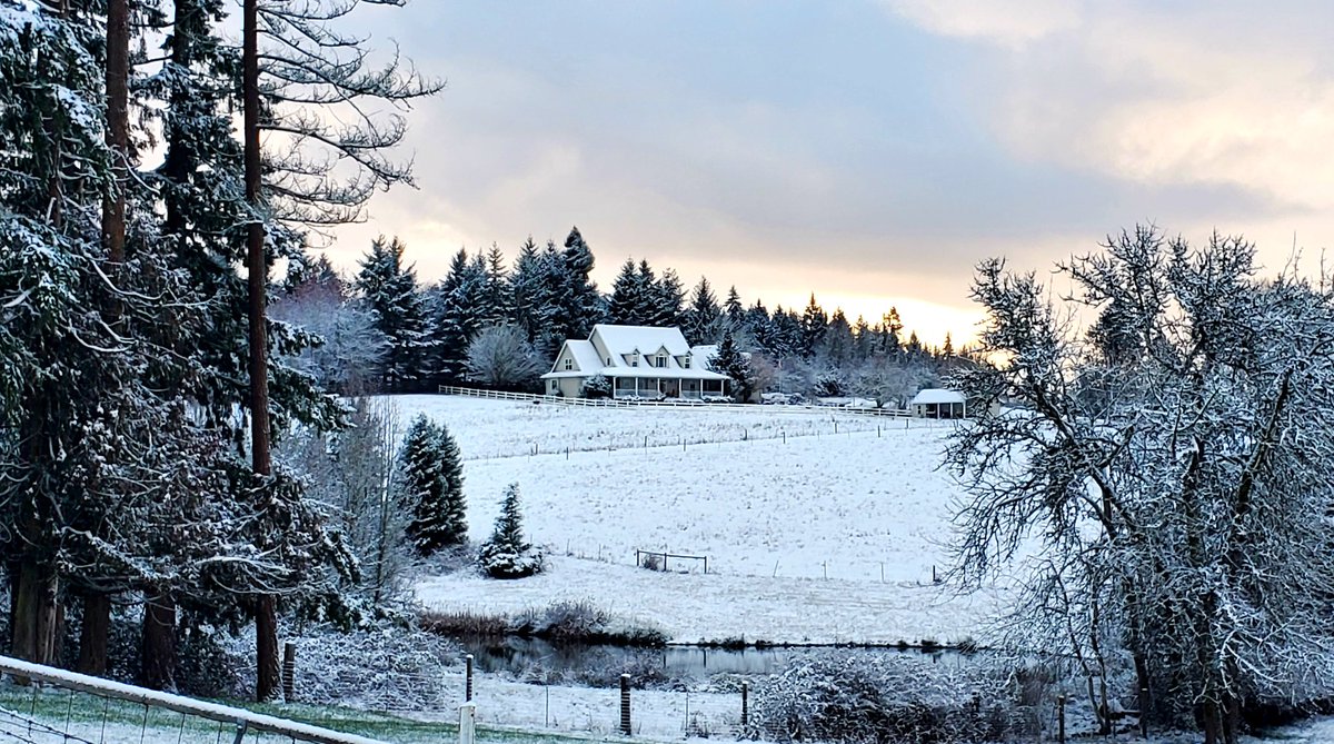 rodreed62's tweet photo. The house looking wintery this morning #snowpocalypse https://t.co/r6DAoOjpUw