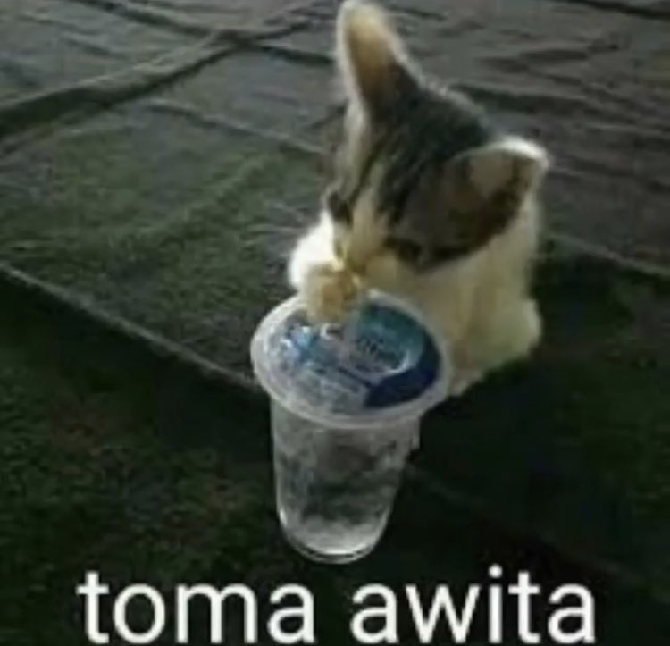 catgenderOTD's tweet photo. @otdtwtnews not me tho yall stay safe https://t.co/h0ifJpSa14