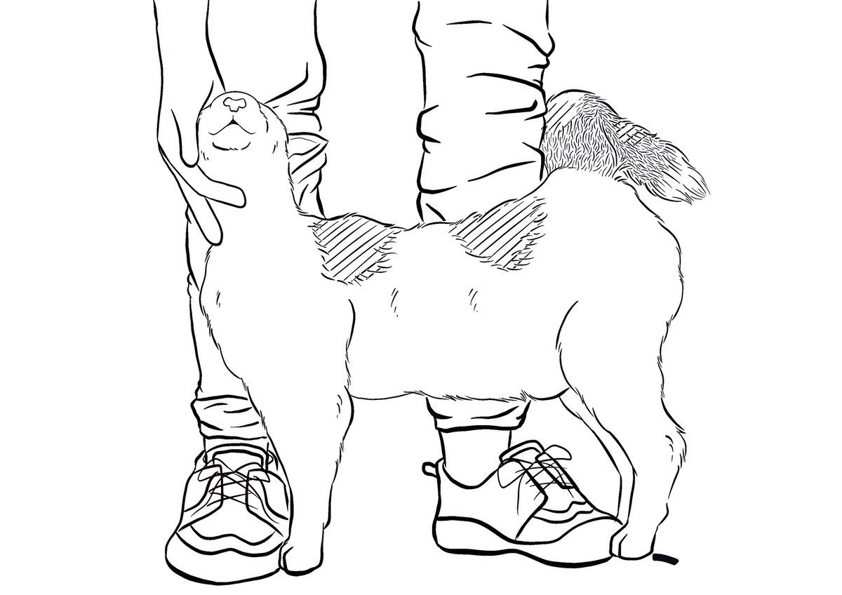 This year I haven't made much art, but my most exciting project was illustrating a self published book! 🙊
Soulcat is a book written in half, Part 1 is the author Amy's point of view, and Part 2 is Molly the cat.
Please consider purchasing the ebook here: amzn.to/3pucLFV