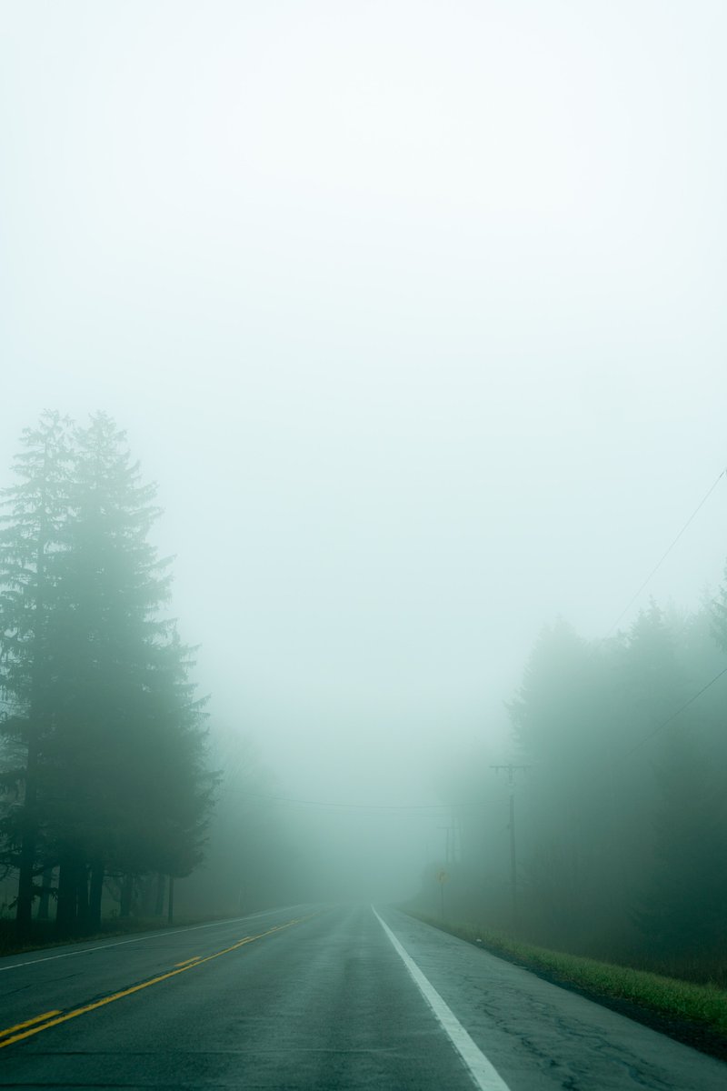 ‘Twas a jolly foggy Christmas