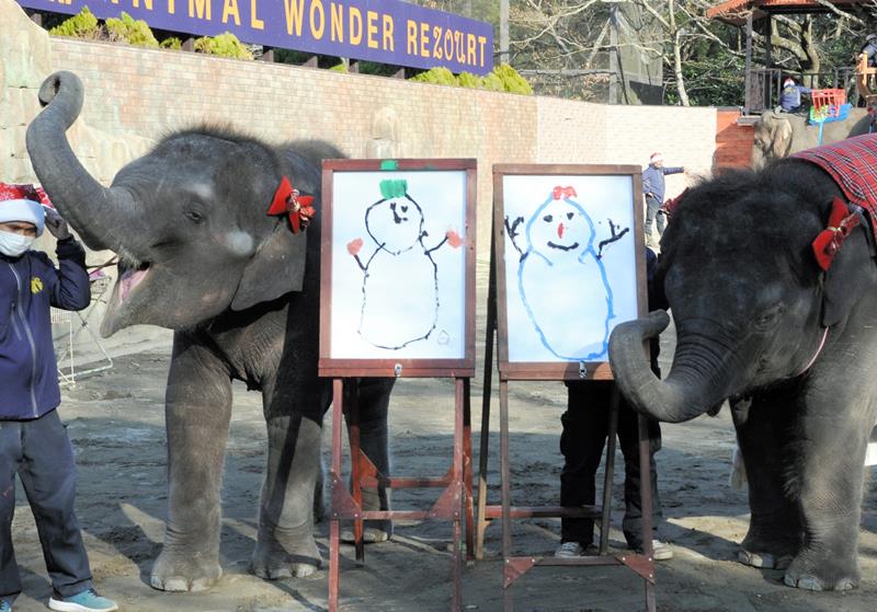 Elephants do not know what a snowman is. In order to paint one, they are 'guided' with painful stabs using nails or bullhooks. The audience is often unaware of this abuse. Visitors learn nothing about elephants at the #ichiharaelephantkingdom, Japan. buff.ly/3Jo6rba