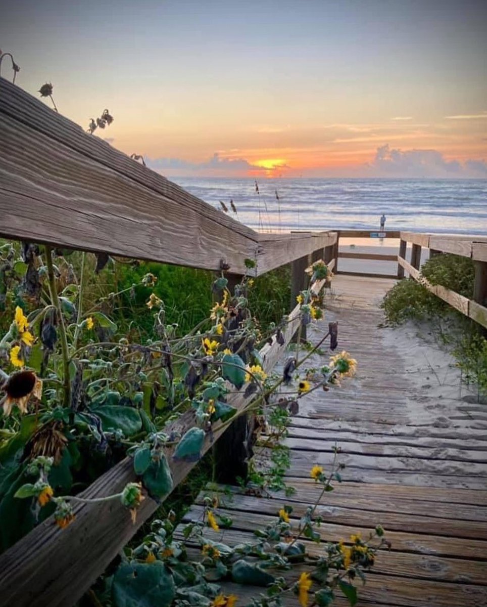 No better walk than a boardwalk to the beach 🌊

📸 <a href="/pineapplesands/">Pineapple Sands</a> on Instagram