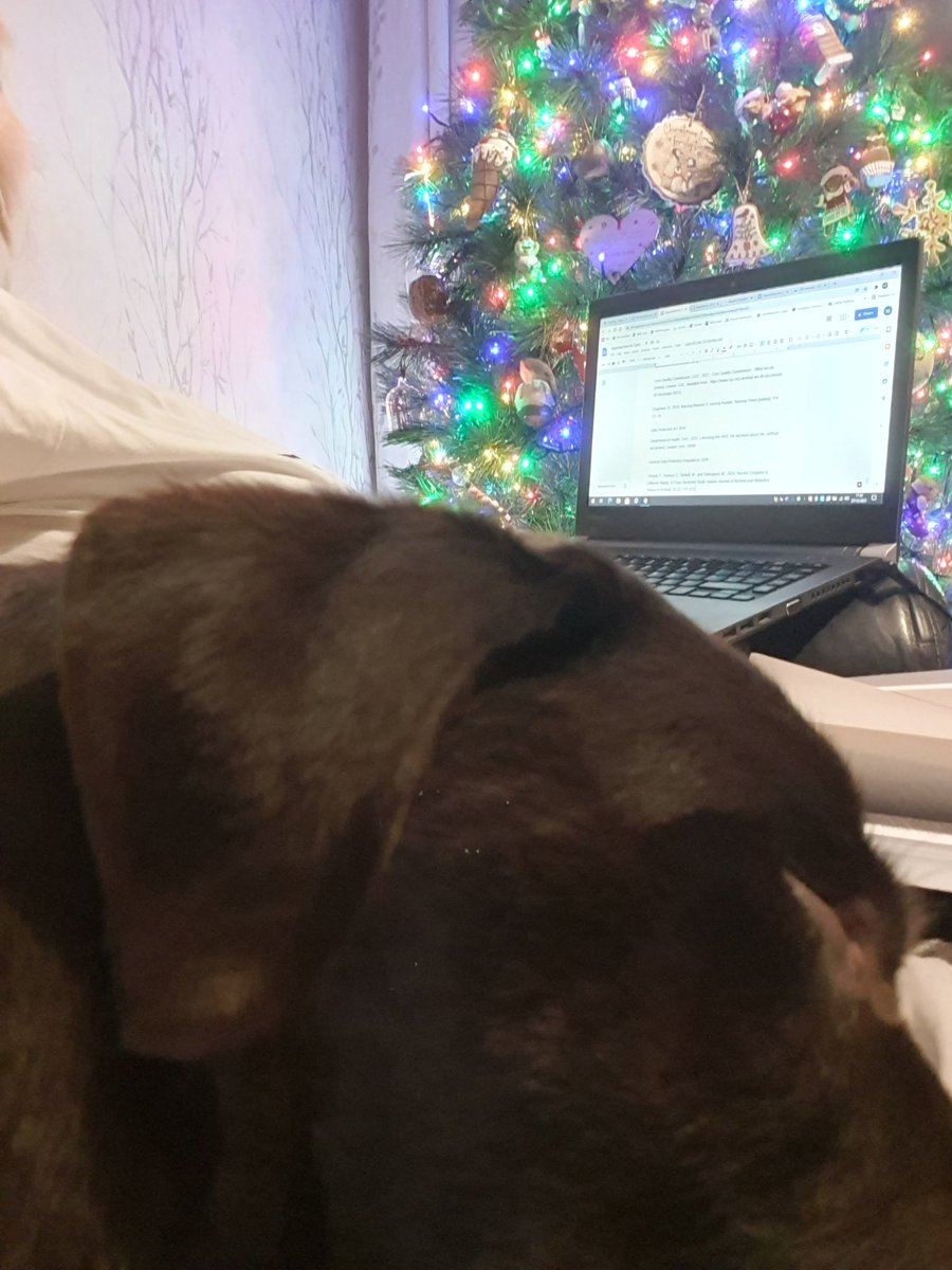The bestest kind of study buddy! Though not sure about his snoring!