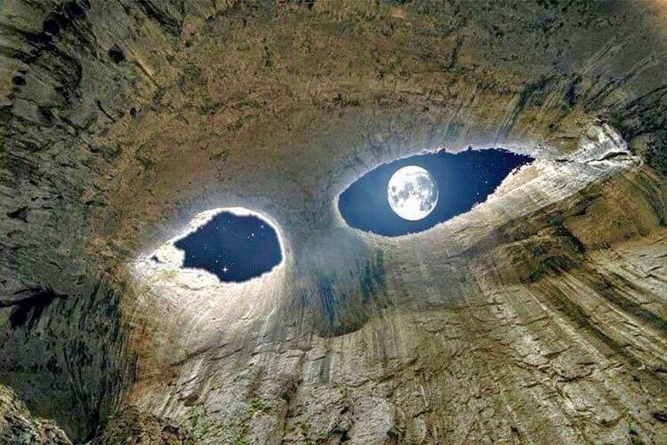 🌜moonlight🌛 tweet media
