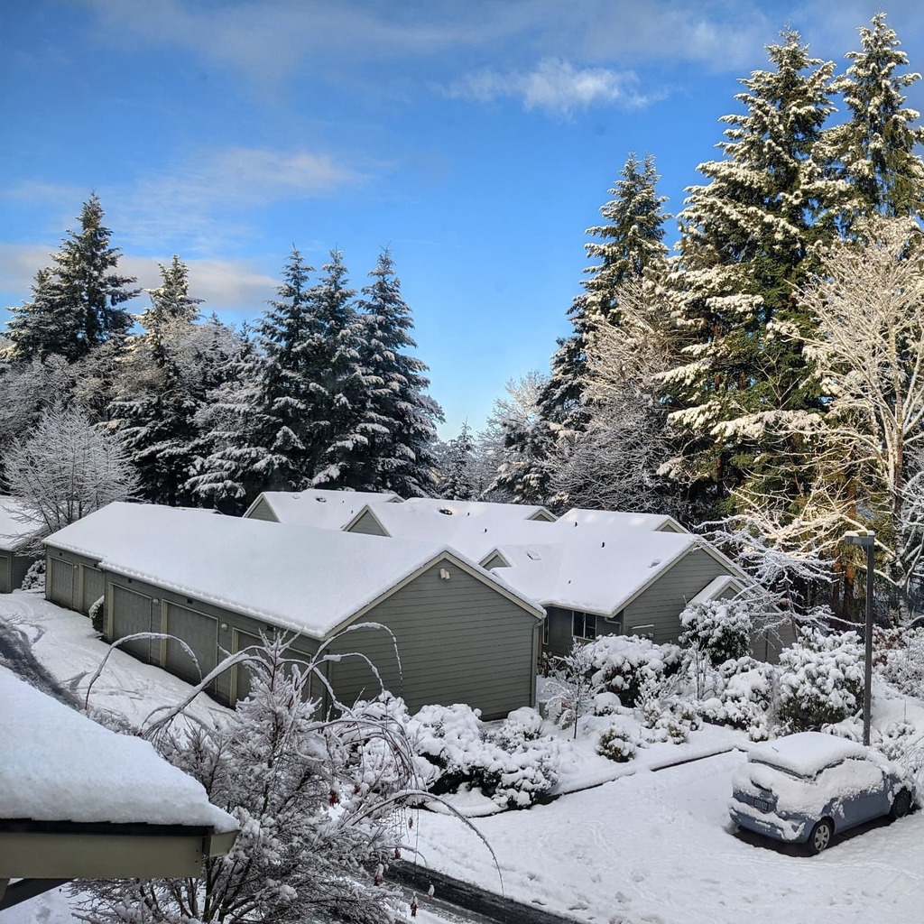 TravelistLife's tweet photo. Winter wonderland
·
·
#travel #travelphotography #travelgram #instatravel #travelling #traveling #traveler #traveller #photography #wanderlust #travels #photooftheday #travelblog #travelingram #instagood #trip #travelholic #travelphoto #travelers #beauti… https://t.co/HQEy0Bw1Mw https://t.co/RZfKq3ceVm